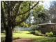 4 Mogg Road, Hampton QLD 4352