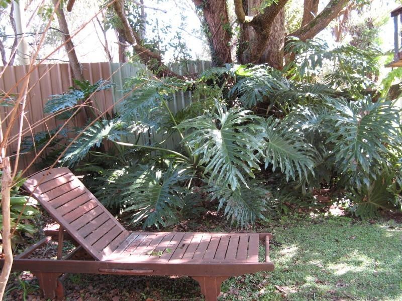 4 Mogg Road, Hampton QLD 4352