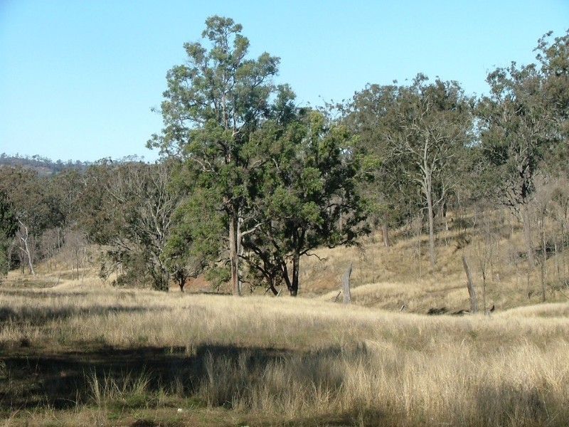Lot 579 Oakey Cooyar Road, Cooyar QLD 4402