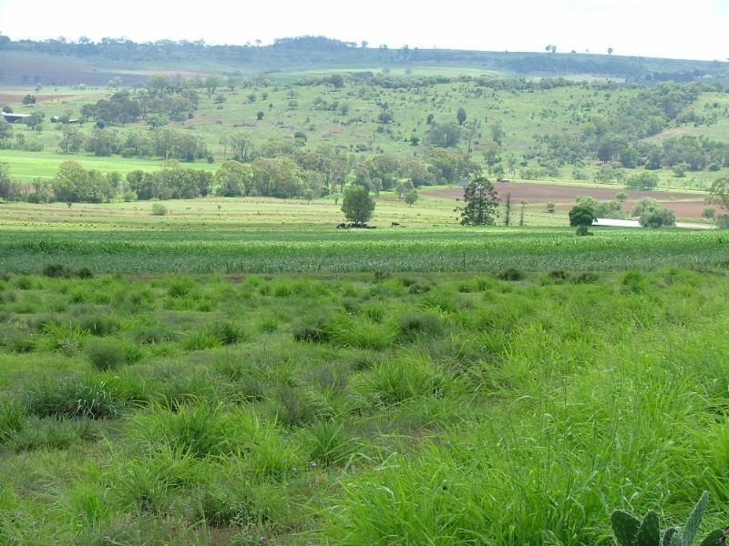 1289 Bunya Mountain Road, Maclagan QLD 4352