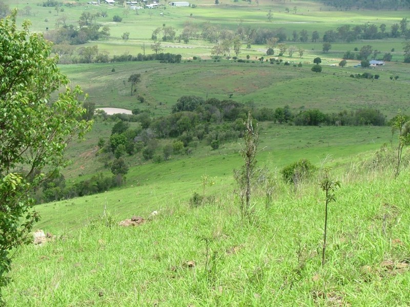 1289 Bunya Mountain Road, Maclagan QLD 4352