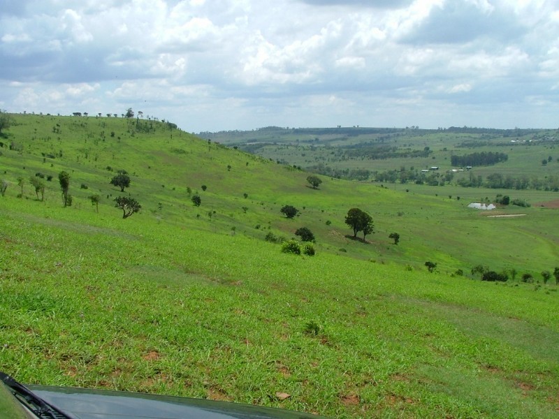 1289 Bunya Mountain Road, Maclagan QLD 4352