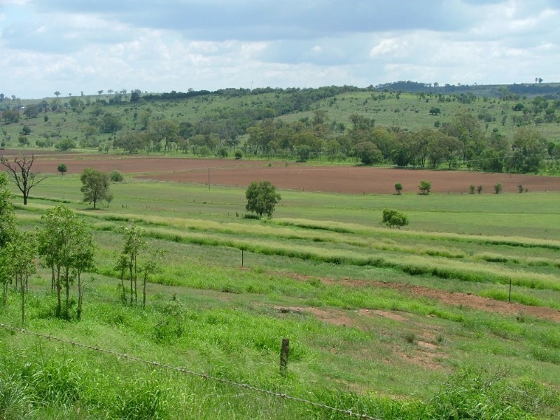 1289 Bunya Mountain Road, Maclagan QLD 4352