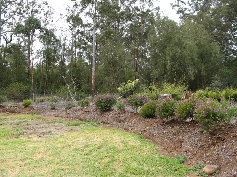 14 Davidson Lane, Hampton QLD 4352