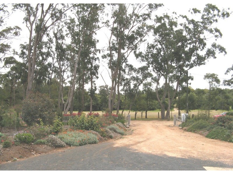 14 Davidson Lane, Hampton QLD 4352