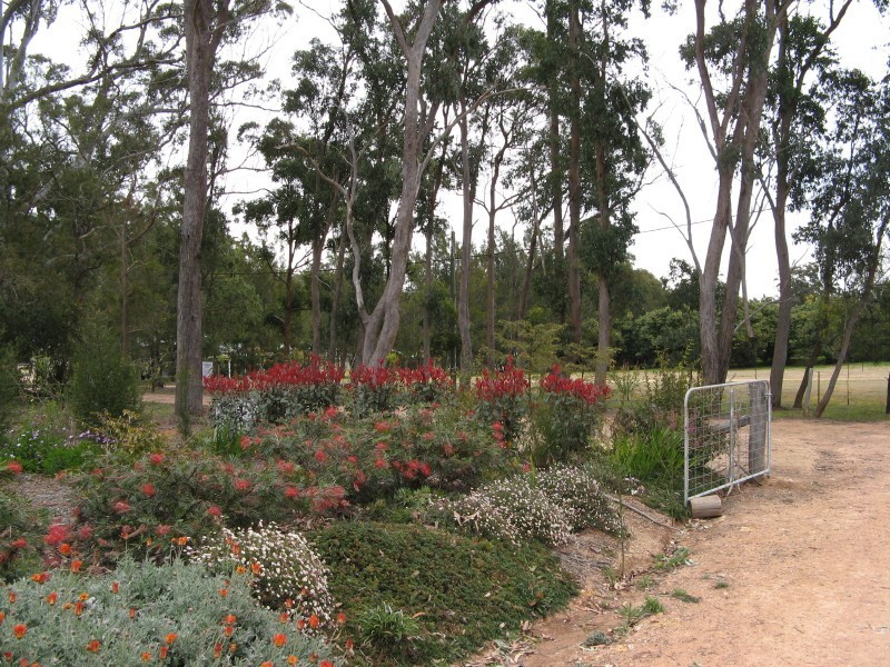 14 Davidson Lane, Hampton QLD 4352