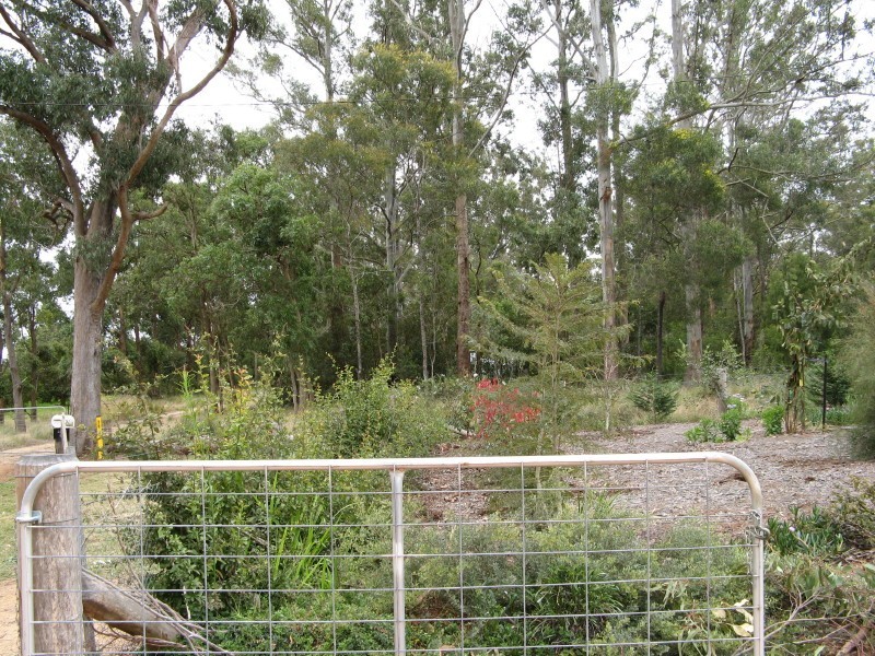 14 Davidson Lane, Hampton QLD 4352