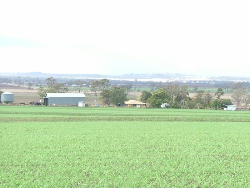 815 Acland Silverleigh Road, Goombungee QLD 4354