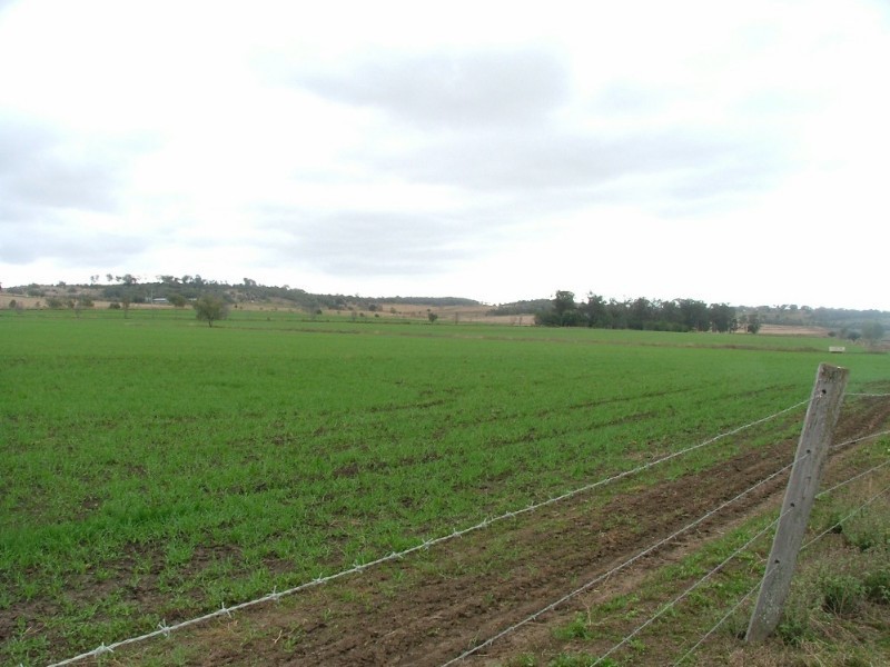 815 Acland Silverleigh Road, Goombungee QLD 4354