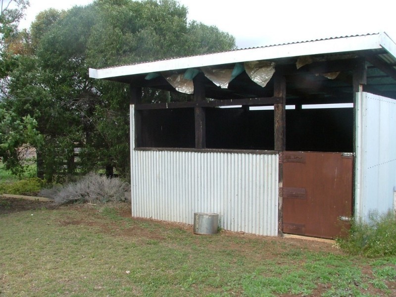 815 Acland Silverleigh Road, Goombungee QLD 4354