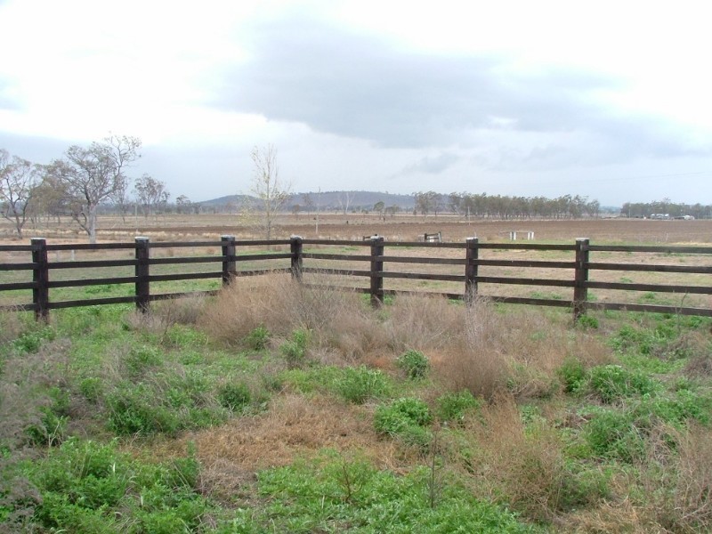 815 Acland Silverleigh Road, Goombungee QLD 4354