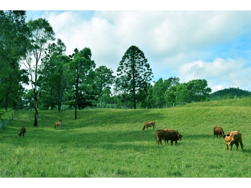 0 Brothers Road, Emu Creek QLD 4355