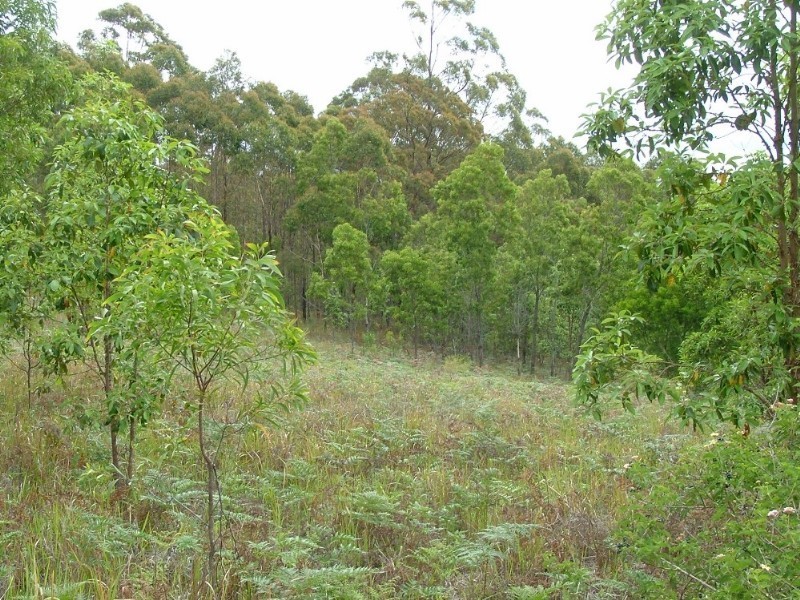 261 Anduramba Road, Crows Nest QLD 4355