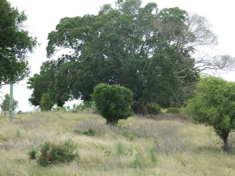 L212 Dukes Road, Cooyar QLD 4402