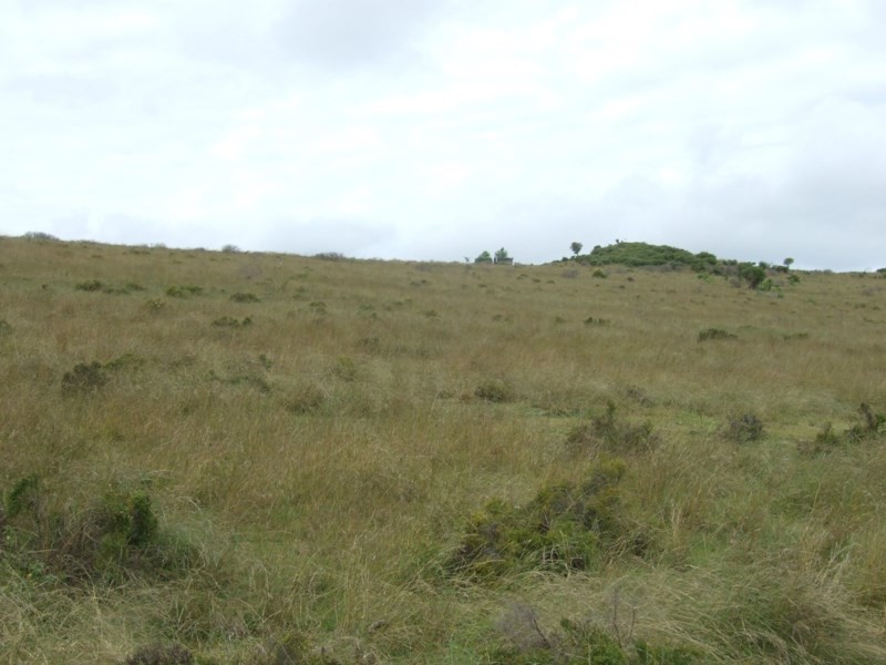 L212 Dukes Road, Cooyar QLD 4402