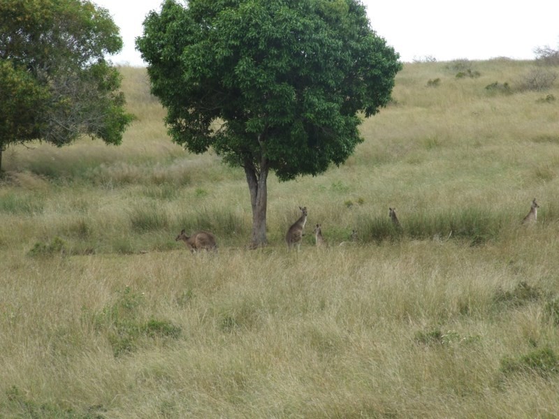 L212 Dukes Road, Cooyar QLD 4402