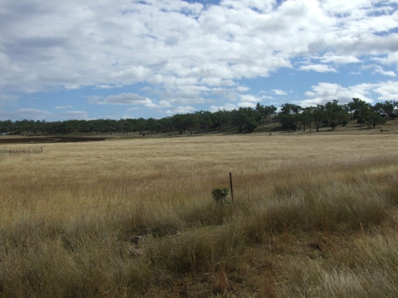 259 Crosshill-Aubigny Road, Aubigny QLD 4401