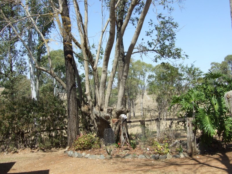 1036 Nukinenda, Anduramba QLD 4355