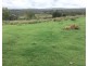 1012 Pechey Maclagan Road, Groomsville QLD 4352