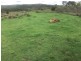 1012 Pechey Maclagan Road, Groomsville QLD 4352