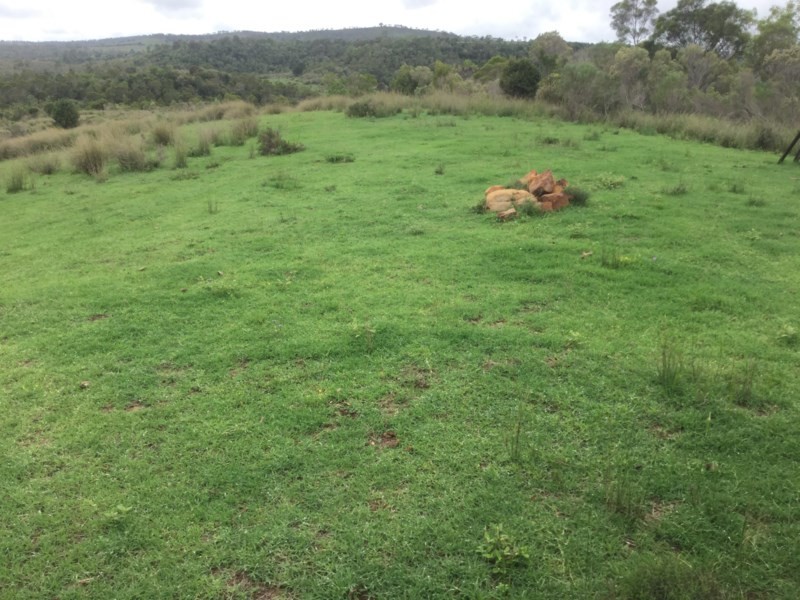 1012 Pechey Maclagan Road, Groomsville QLD 4352