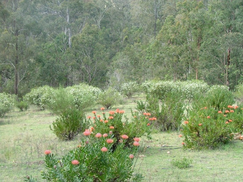 80 Middle Road, Crows Nest QLD 4355