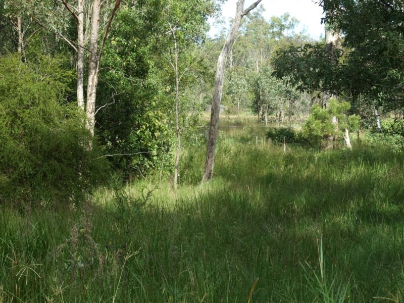 21 Sewell Road, Grapetree QLD 4352