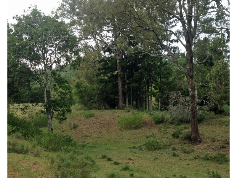 335 Schick Road, Thornville QLD 4352