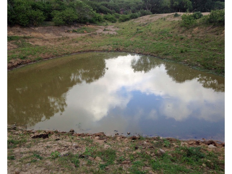 335 Schick Road, Thornville QLD 4352