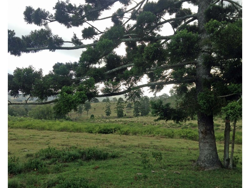 335 Schick Road, Thornville QLD 4352