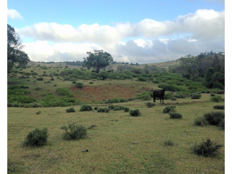 335 Schick Road, Thornville QLD 4352