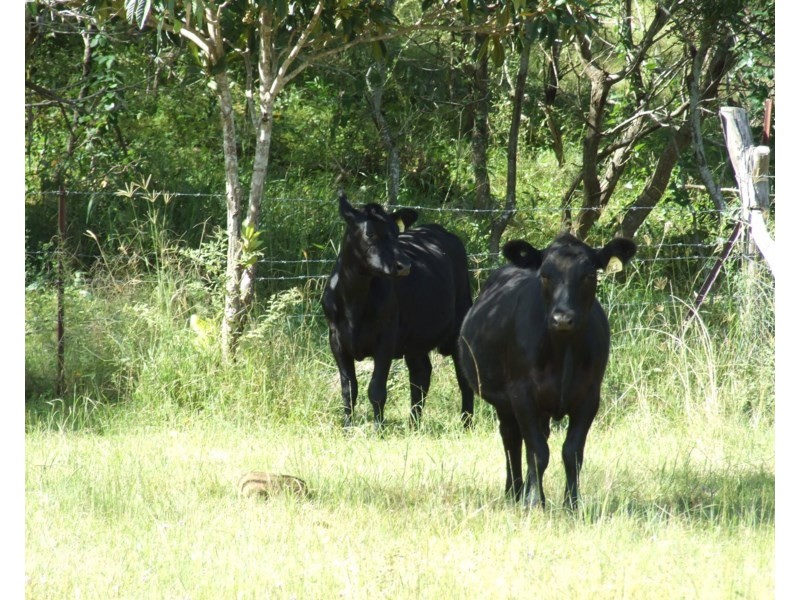 L22 Cooyar-Rangemore Road, Cooyar QLD 4402