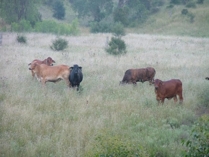 5758 New England Highway, Crows Nest QLD 4355