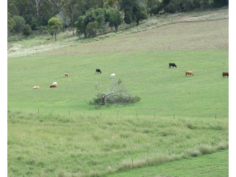 139 Groomsville Road, Groomsville QLD 4352