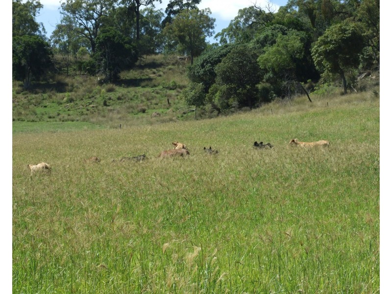 139 Groomsville Road, Groomsville QLD 4352