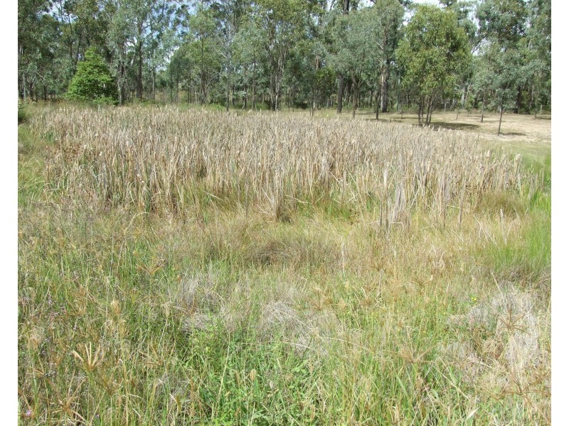 527 Palms Road, Cooyar QLD 4402