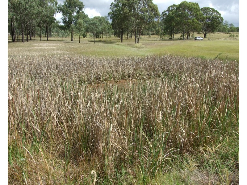 527 Palms Road, Cooyar QLD 4402