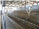 L48 & 126 Haden Maclagan Road, Haden QLD 4353