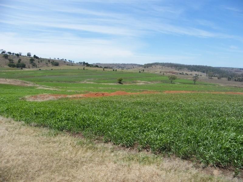 L48 & L126 Haden Maclagan Road, Oakey QLD 4401