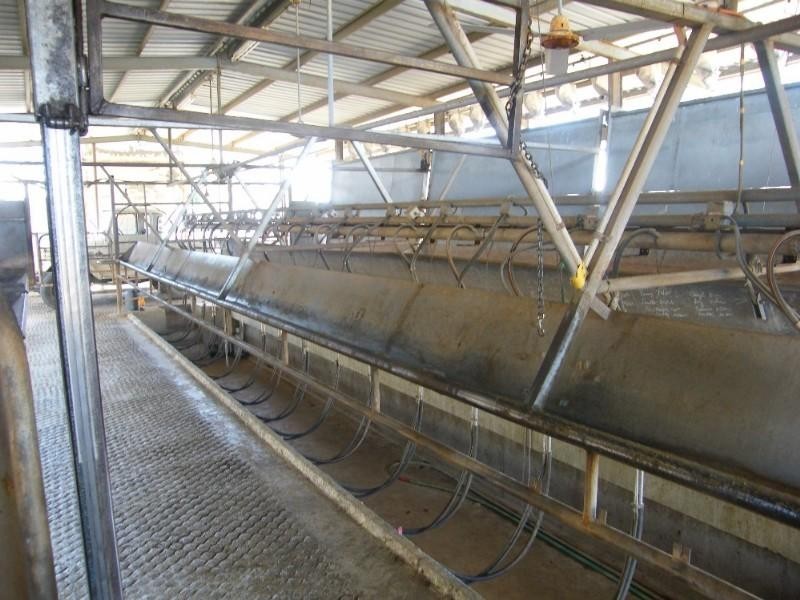 L48 & L126 Haden Maclagan Road, Oakey QLD 4401