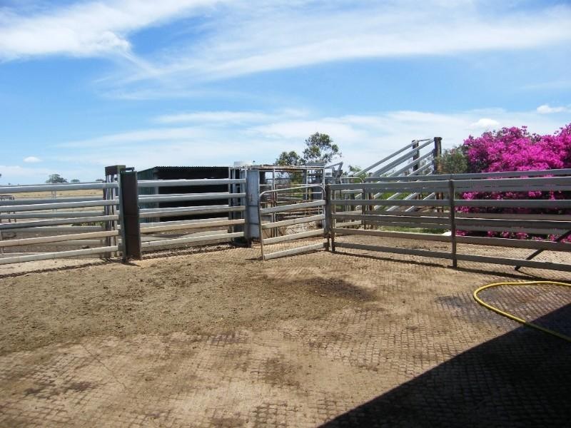 L48 & L126 Haden Maclagan Road, Oakey QLD 4401