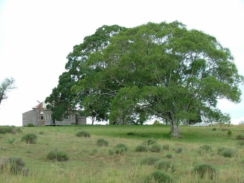 L1 Weelu Road, Crows Nest QLD 4355