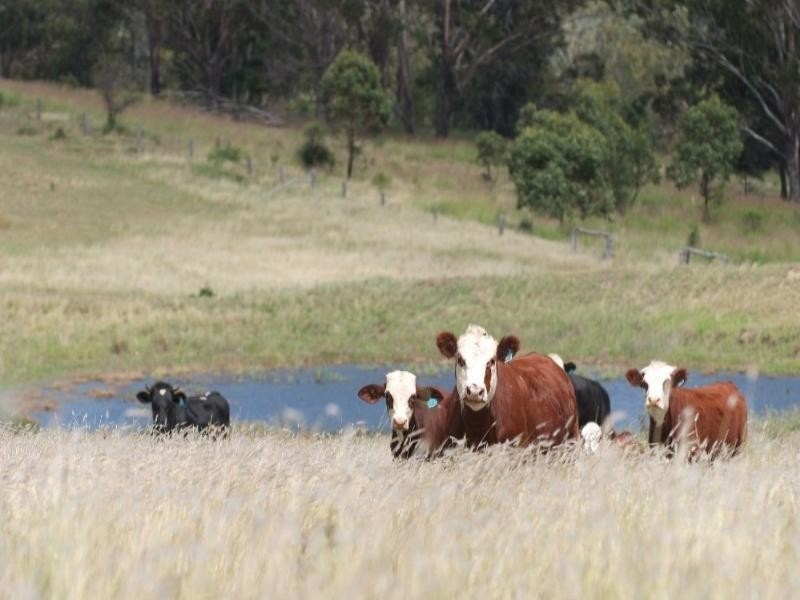 5758 New England Highway, Crows Nest QLD 4355