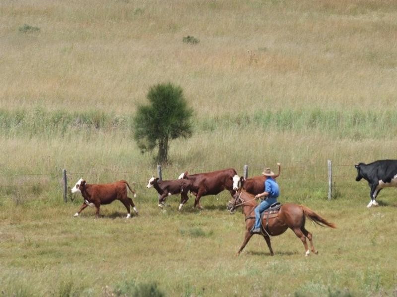 5758 New England Highway, Crows Nest QLD 4355