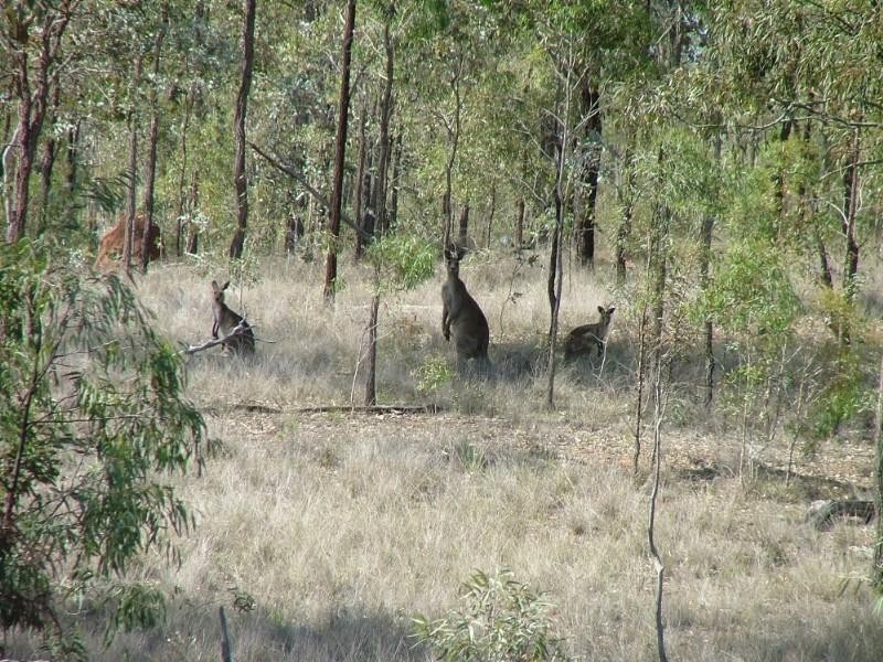 L1 Pierce Creek Road, Crows Nest QLD 4355