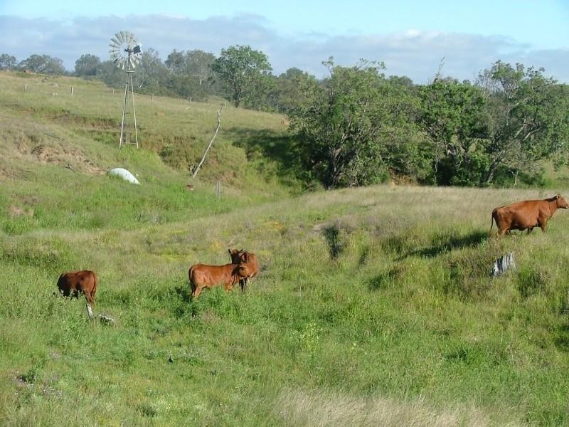 L9 Pierce Creek Road, Crows Nest QLD 4355