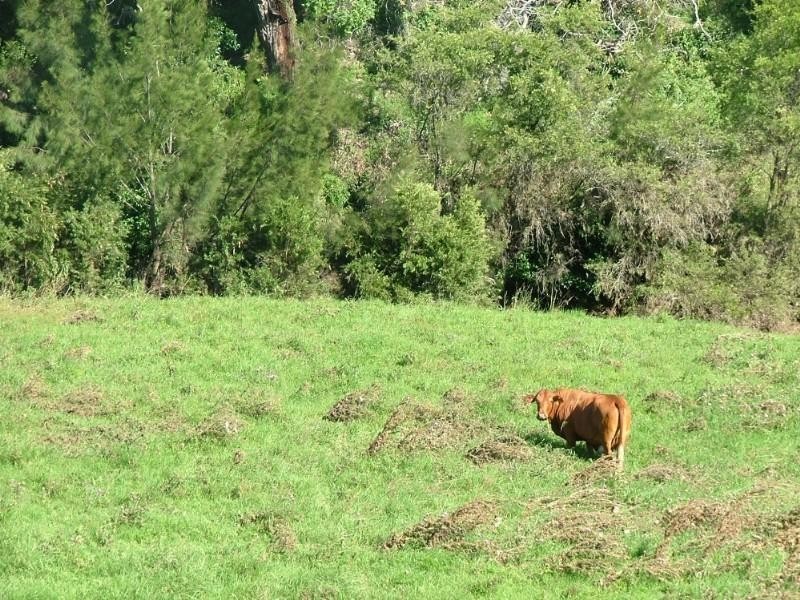 L10 Pierce Creek Road, Crows Nest QLD 4355