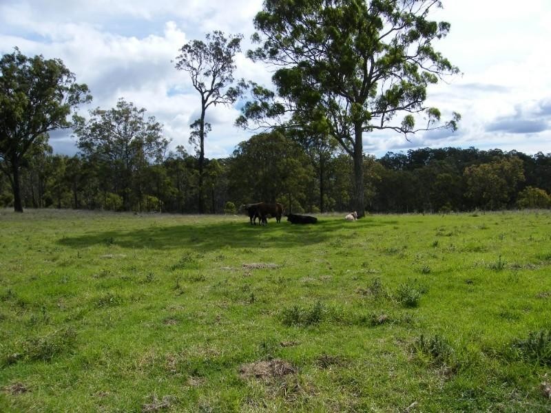 844 Merritts Creek Road, Hampton QLD 4352