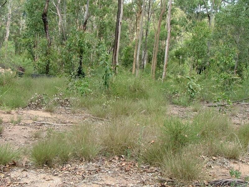 Lot 1 Pioneer Road, Geham QLD 4352