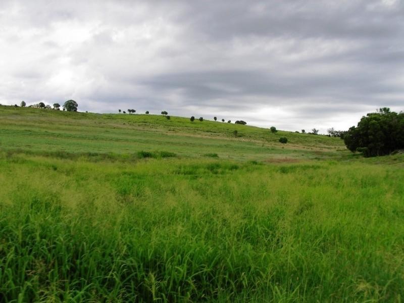 L6 Grinkes Road, Oakey QLD 4401